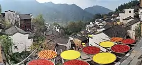 婺源篁岭村-晒秋
