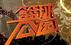 节目标志(2009年前)