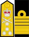 英國皇家海軍上將肩章及袖章