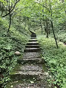 大老岭植物园2