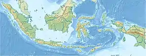 林賈尼火山在印度尼西亚的位置