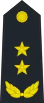中國人民解放軍海軍中将肩章