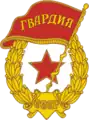 蘇聯軍隊近衛徽章