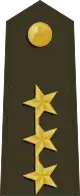 中华民国海軍陸战队二級上将肩章