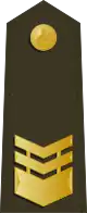 中華民國海軍陸戰隊中士肩章
