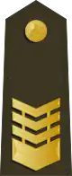中華民國海軍陸戰隊上士肩章