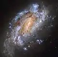NGC 1559有巨大的螺旋臂結構,並且星系內部到處是恆星形成區域。