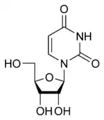 尿苷的结构